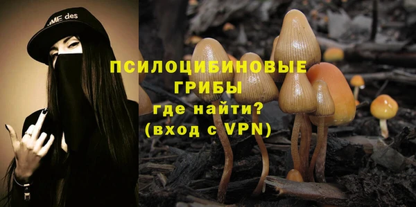 spice Заволжск