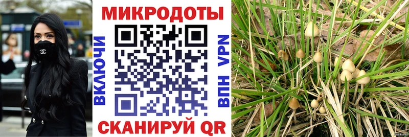 Купить  Ишимбай  Галлюциногенные грибы GOLDEN TEACHER 